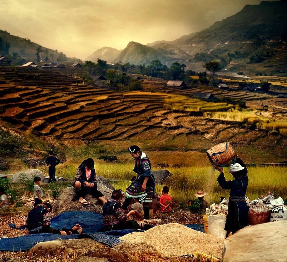 Sapa Trekking Homestay Tour 4 Days